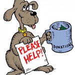 donate_dog