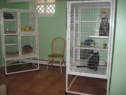 PAWS cat room