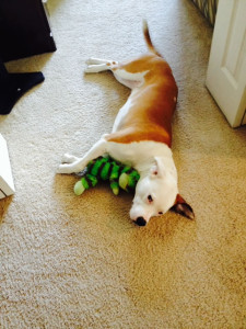 Dinah with Mr Frog