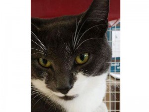 Handsome Sebastian Will Have You at Hello