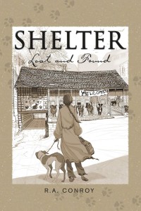 shelterlostandfound-cover