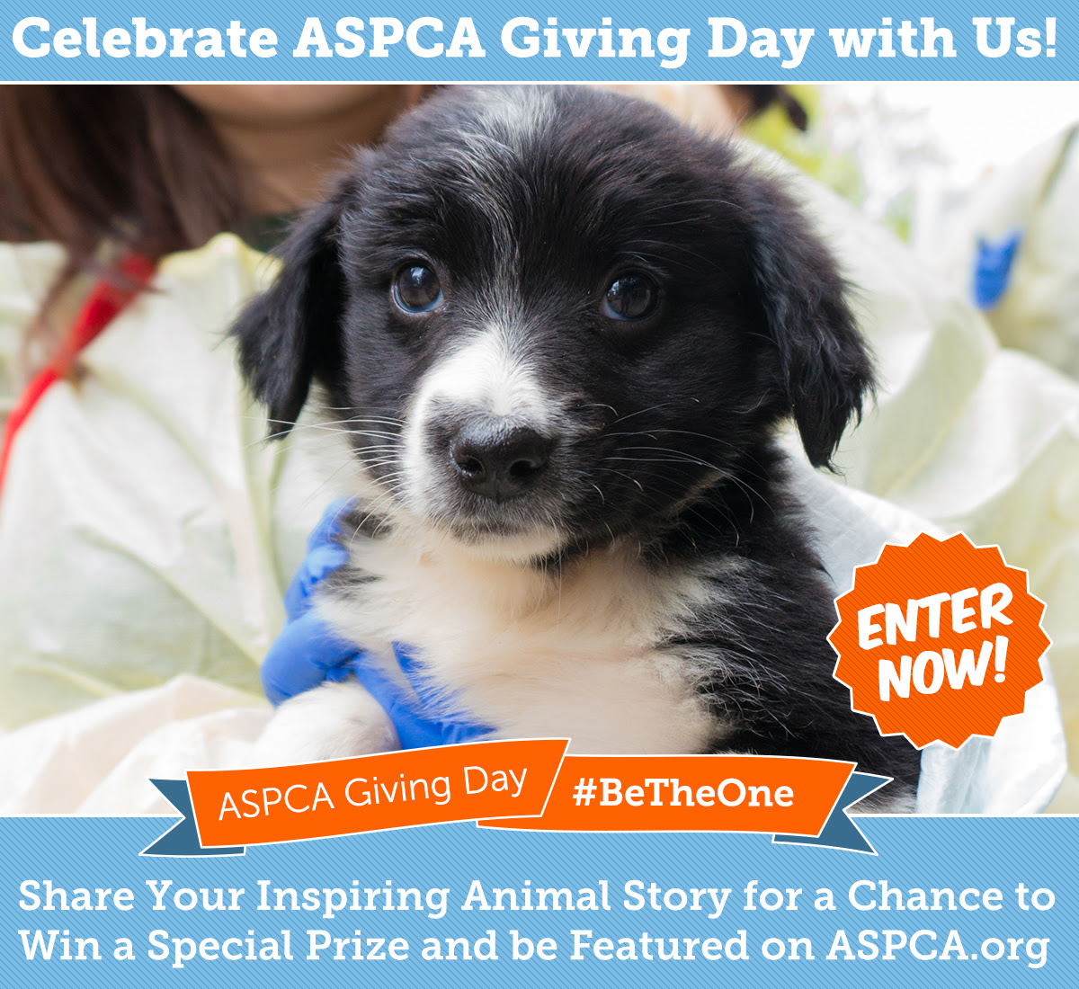Be The One For Animals in Need ASPCA Giving Day