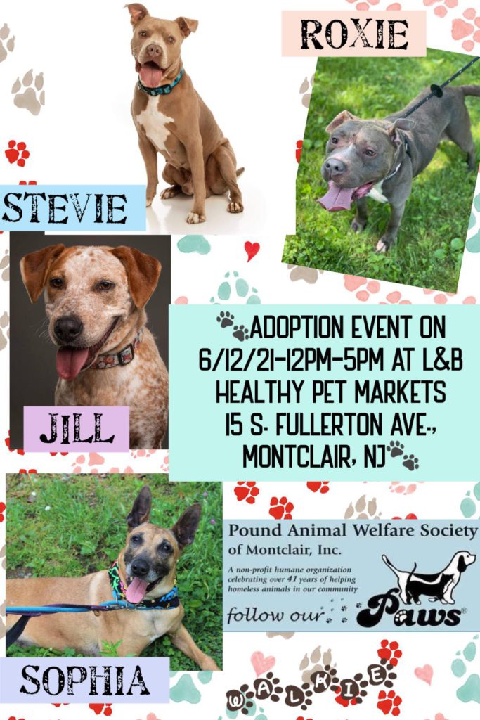 Adoption Event June 12, 2021