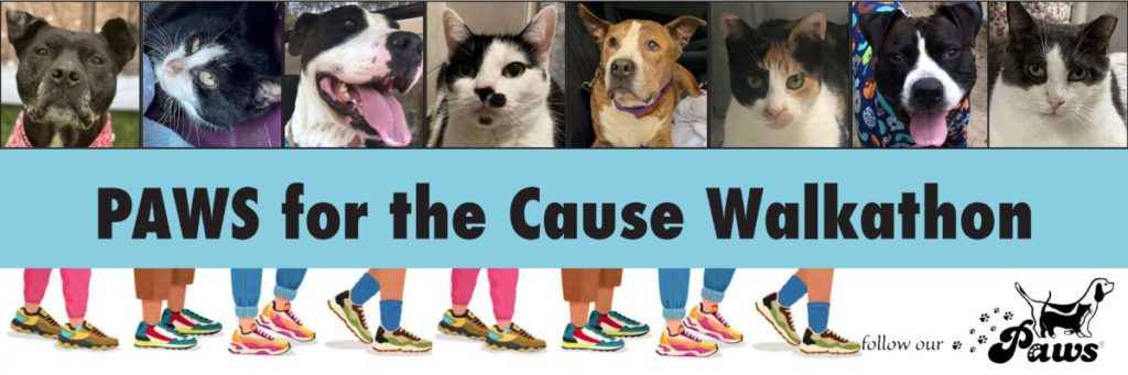 PAWS for the Cause
walkathon banner